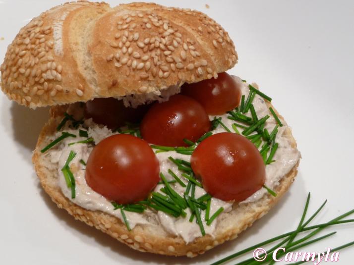 ATÚN CON CEBOLLINO Y TOMATE 3