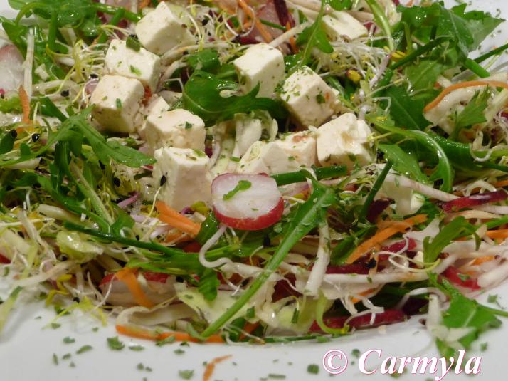 ENSALADA CON QUESO FETA MARINADO