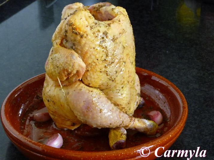 POLLO SENTADO utiización 2